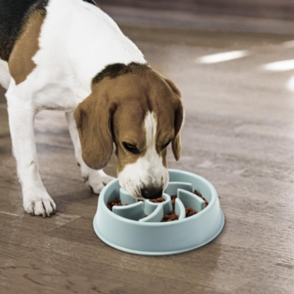Gamelle Anti-Glouton Vinabo – Alimentation Lente et Digestion Saine pour Chiens et Chats.