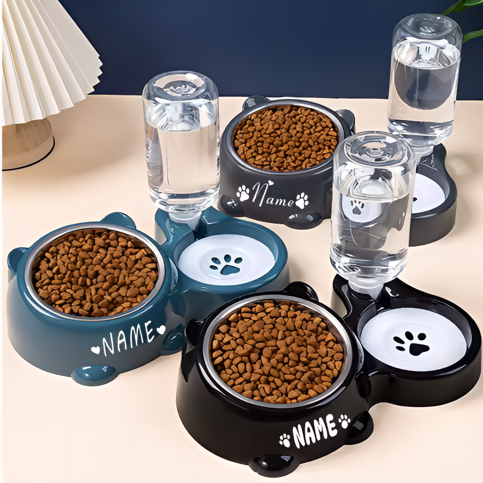 Gamelles inclinées 2 en 1 pour chat avec distributeur d'eau.
